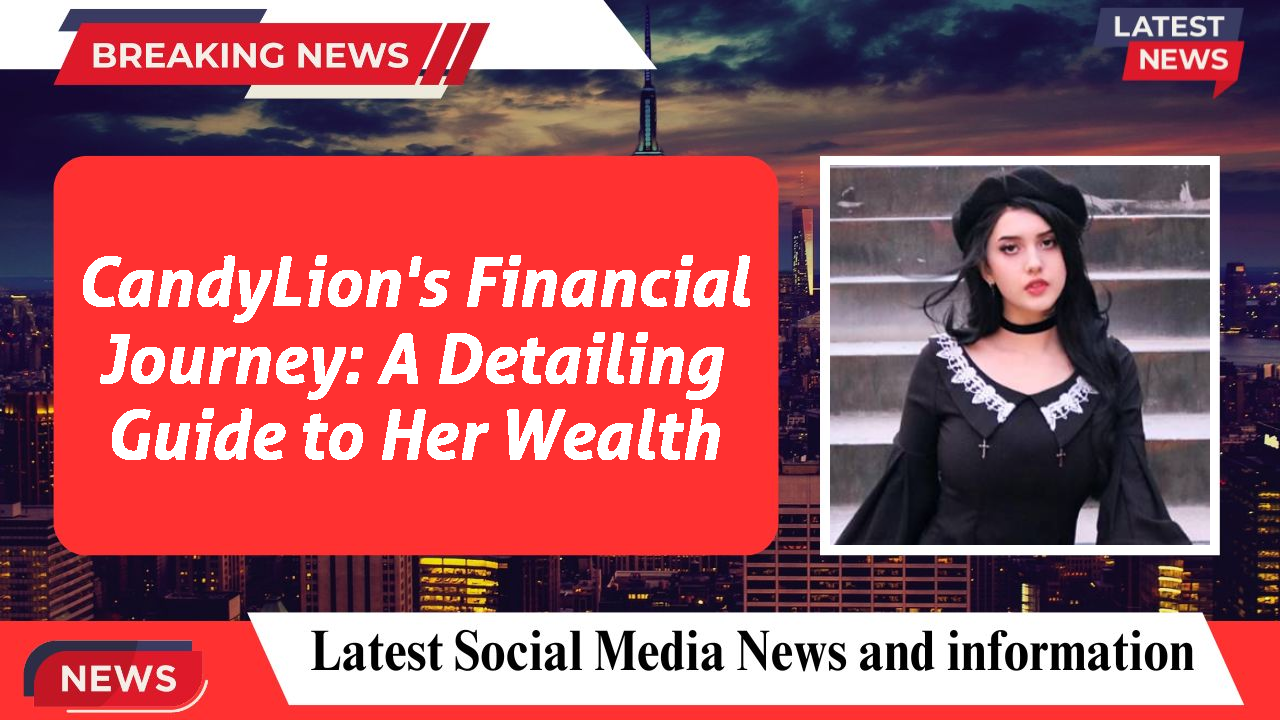 CandyLion's Financial Journey: A Detailing Guide to Her Wealth