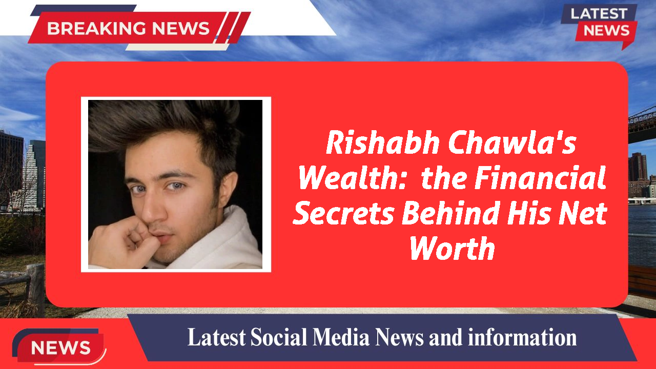 Rishabh Chawla's Wealth:  the Financial Secrets Behind His Net Worth