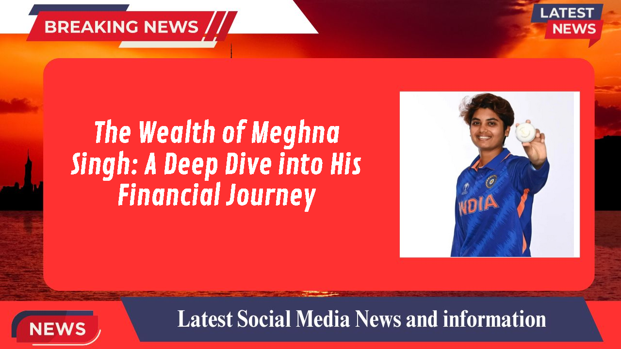 The Wealth of Meghna Singh: A Deep Dive into His Financial Journey