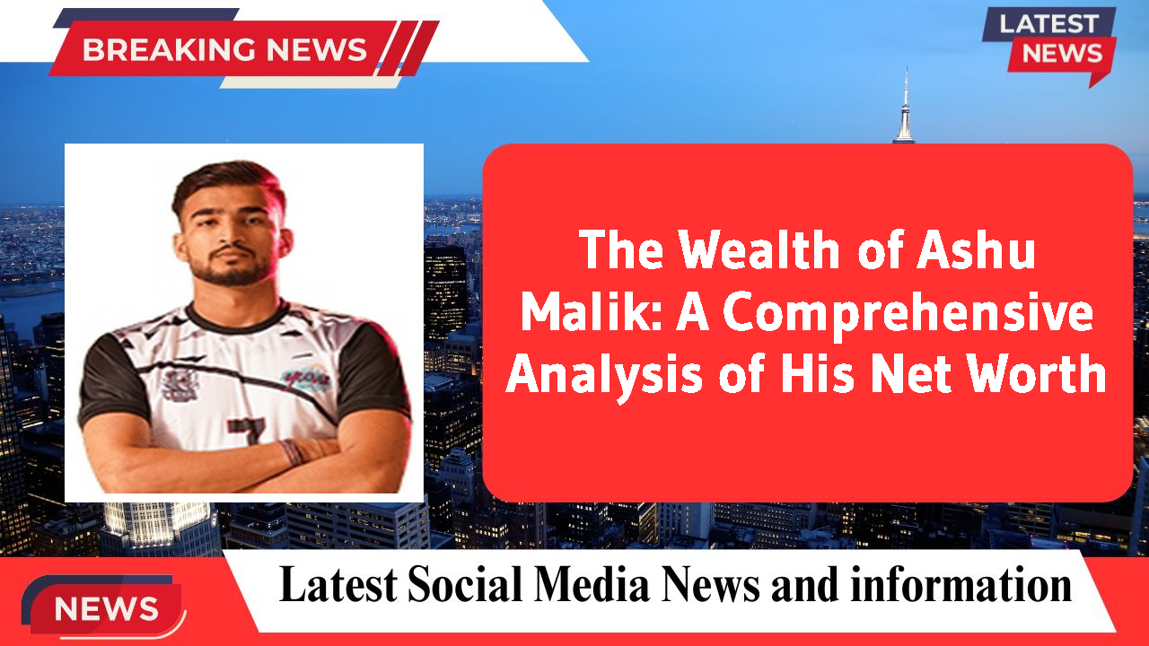 Ashu Malik networth