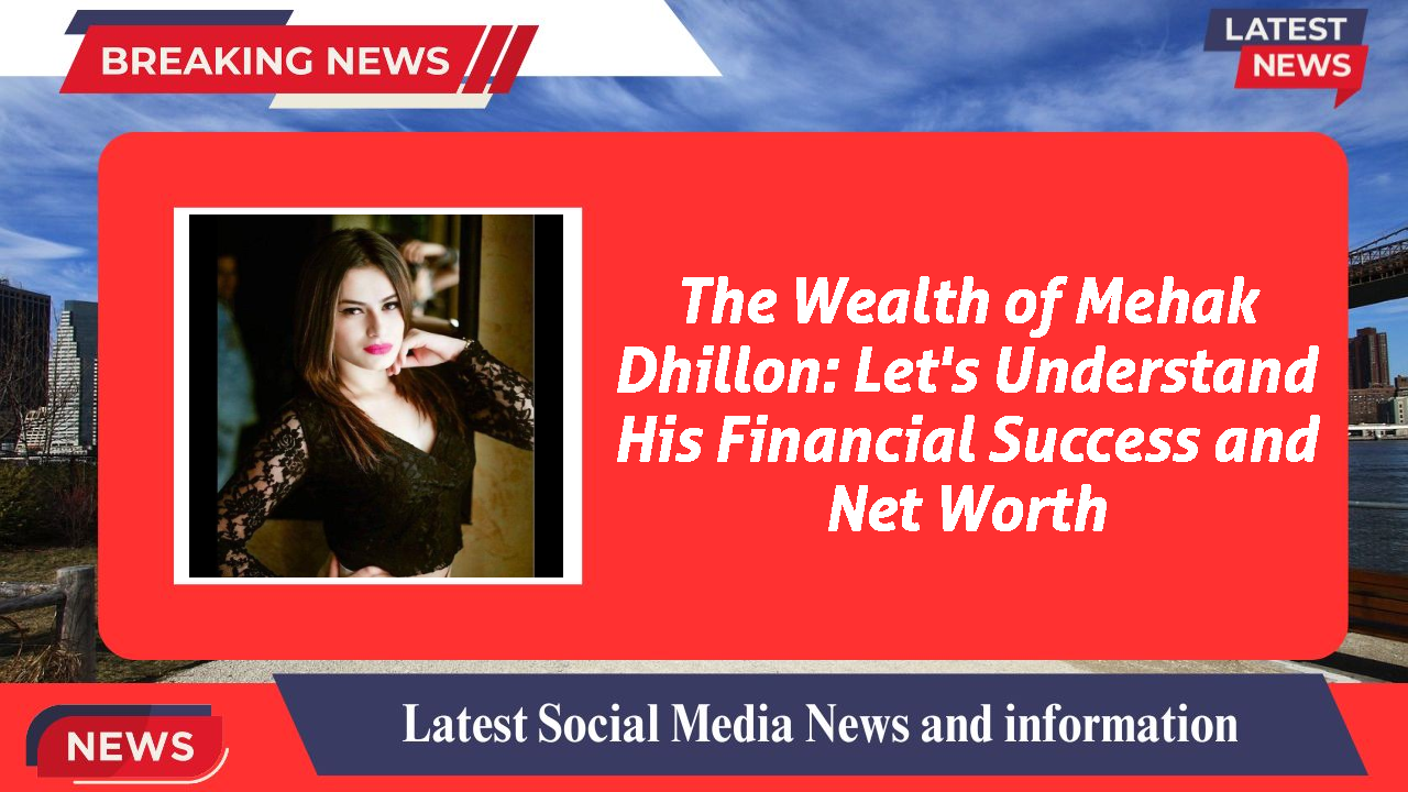 Mehak Dhillon networth