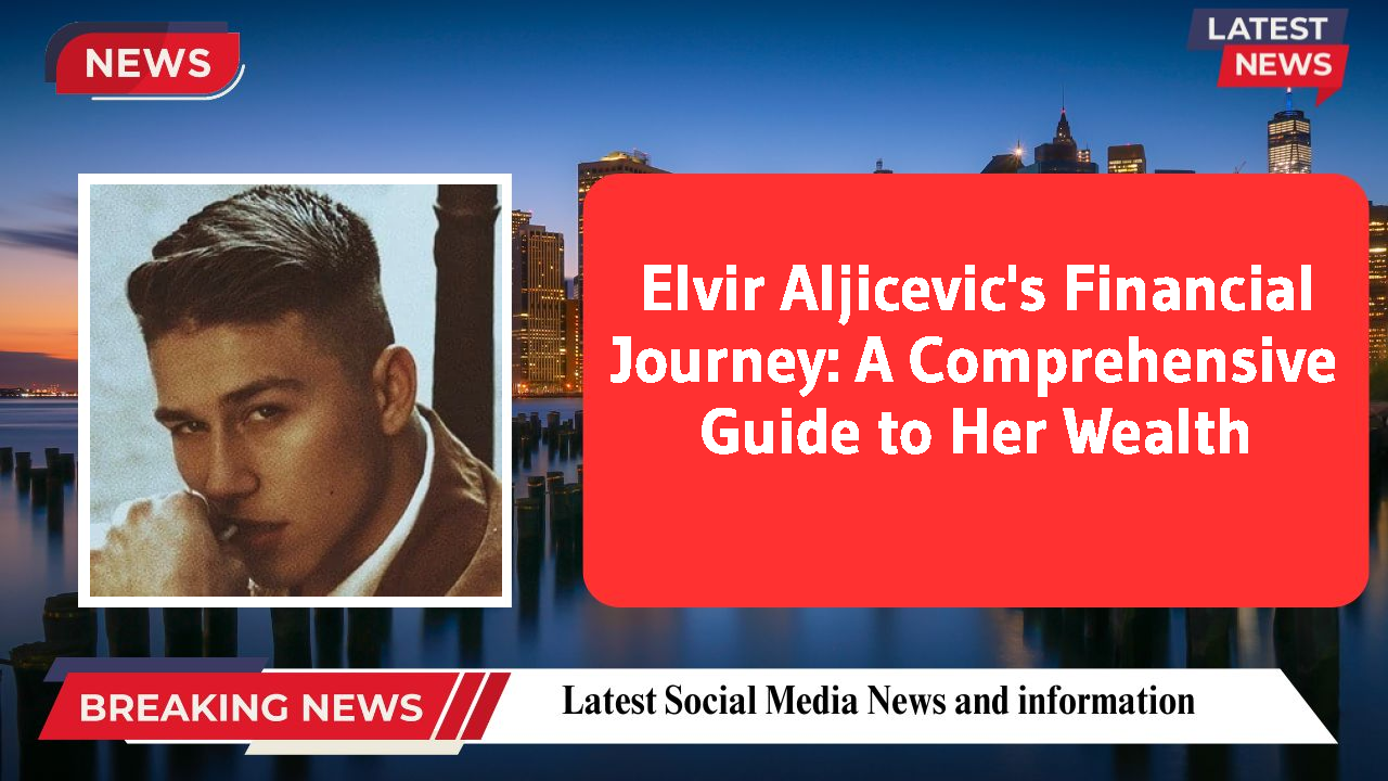 Elvir Aljicevic networth