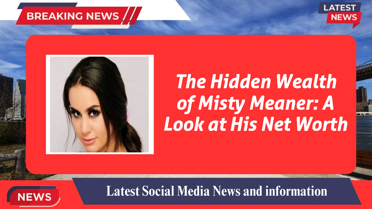 Misty Meaner networth