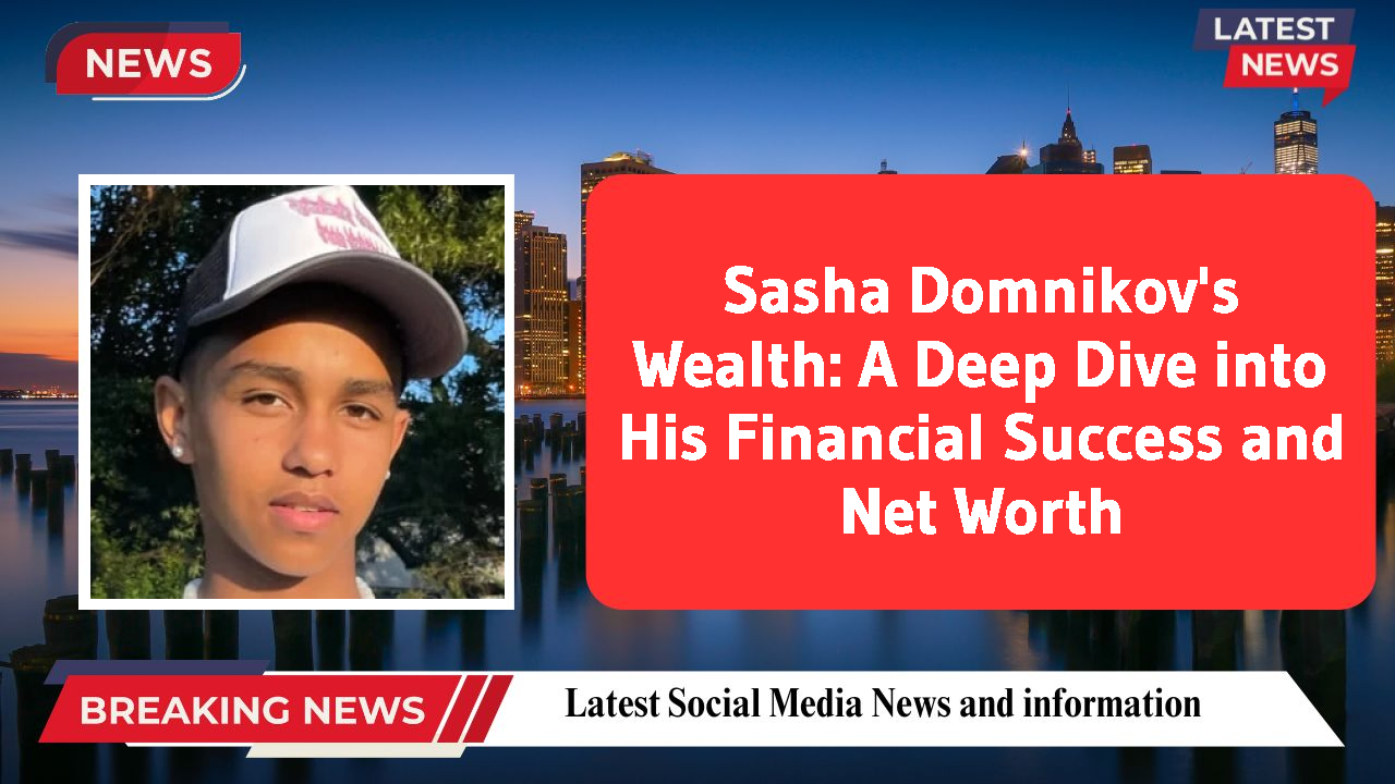 Sasha Domnikov networth